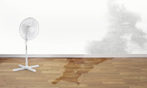 Best Water damage restoration near me  in Lake Kiowa, TX