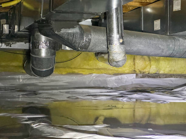 Best Local water damage restoration  in Lake Kiowa, TX
