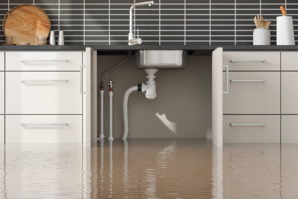 Best Basement water damage restoration  in Lake Kiowa, TX
